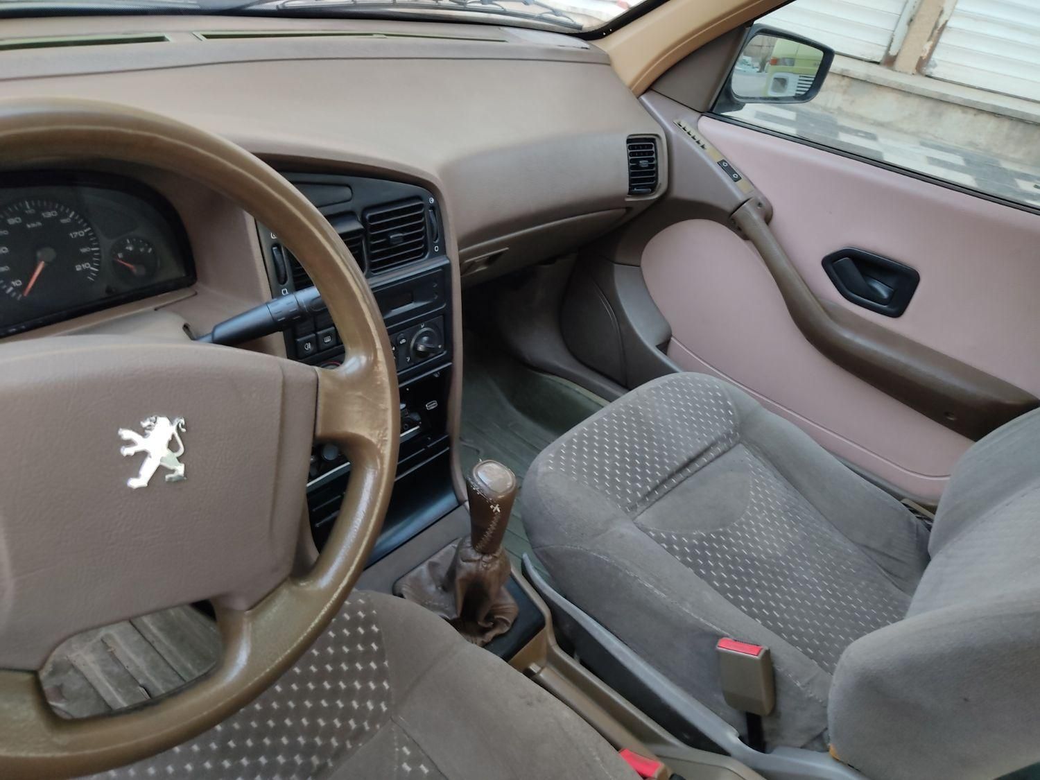 پژو 405 GLX - دوگانه سوز - 1391