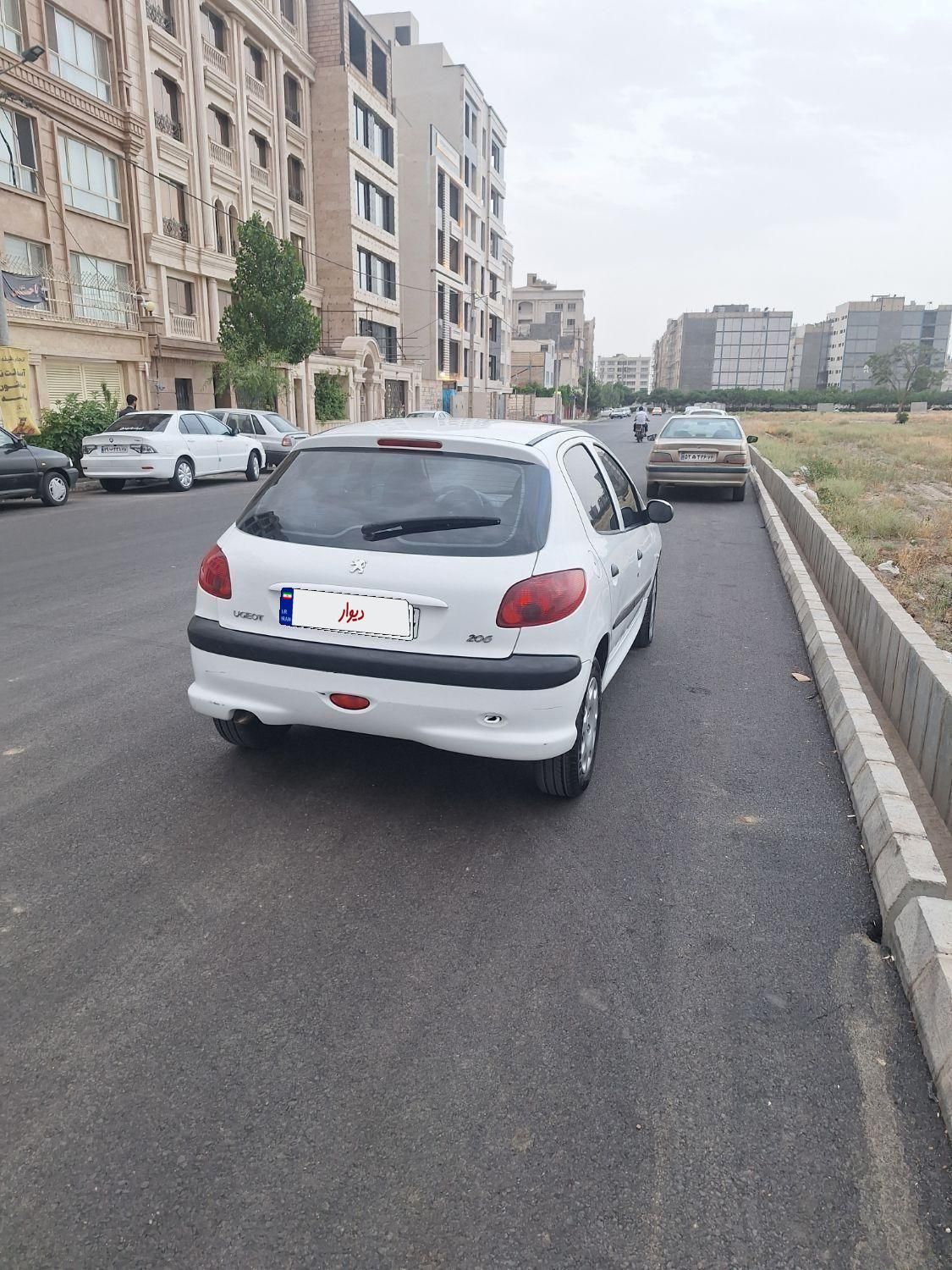پژو 206 تیپ 5 - 1393