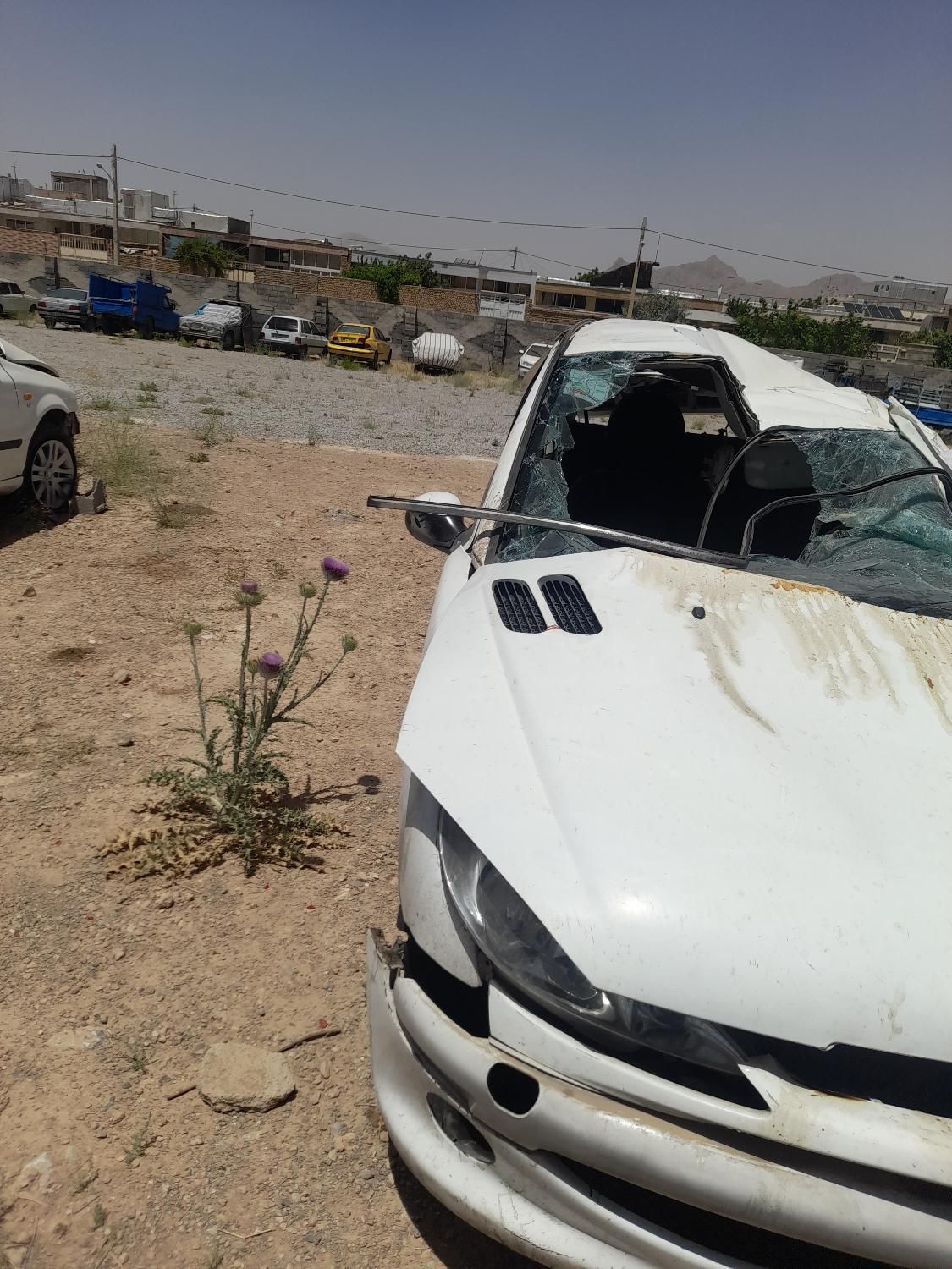 خودرو پژو، 206 آگهی ann_18586750