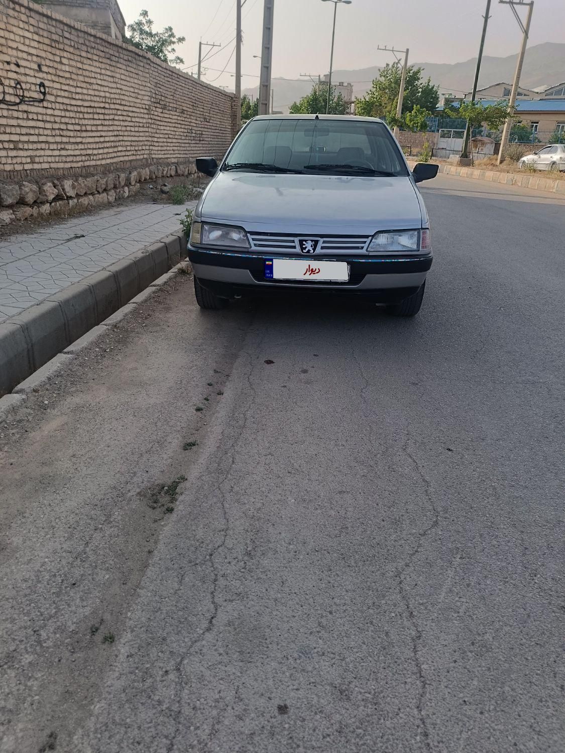 پژو 405 GLX - دوگانه سوز - 1391