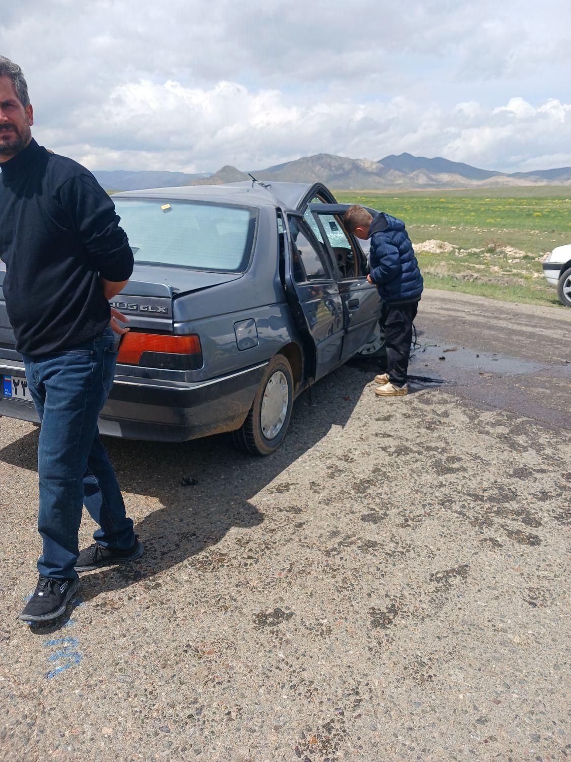 پژو 405 GLX - دوگانه سوز - 1394