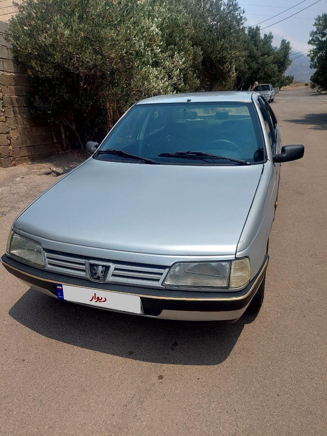 پژو 405 GLX - دوگانه سوز - 1389