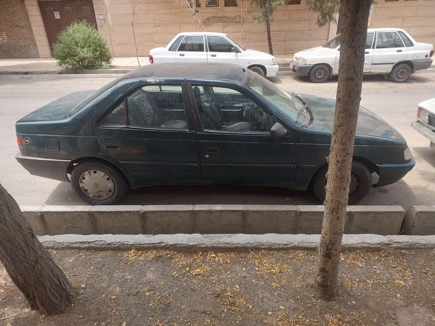 پژو آردی دوگانه سوز CNG - 1382