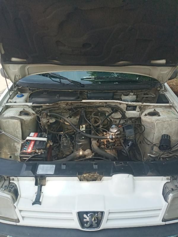 پژو آردی دوگانه سوز CNG - 1380