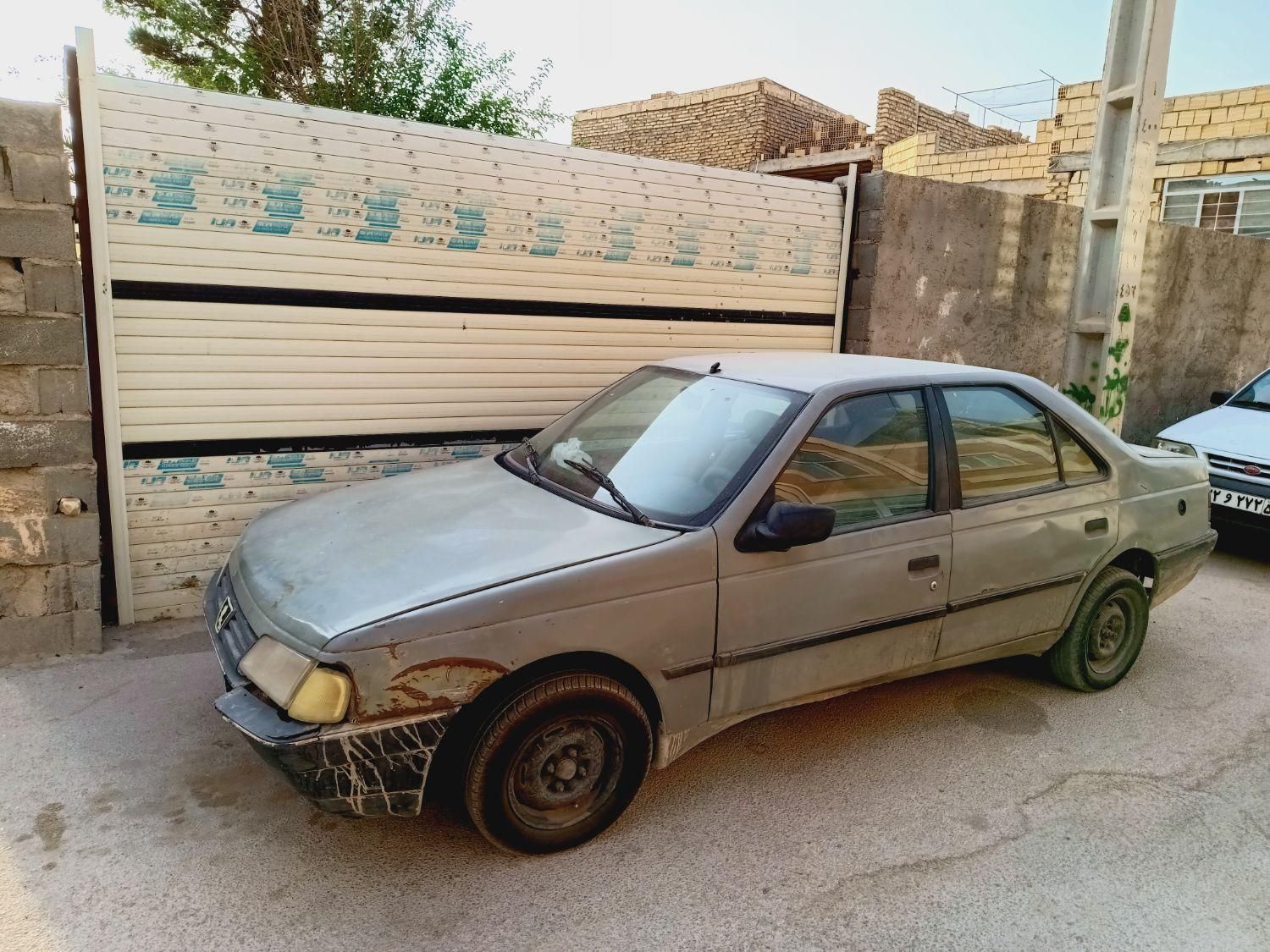 پژو آردی دوگانه سوز CNG - 1381