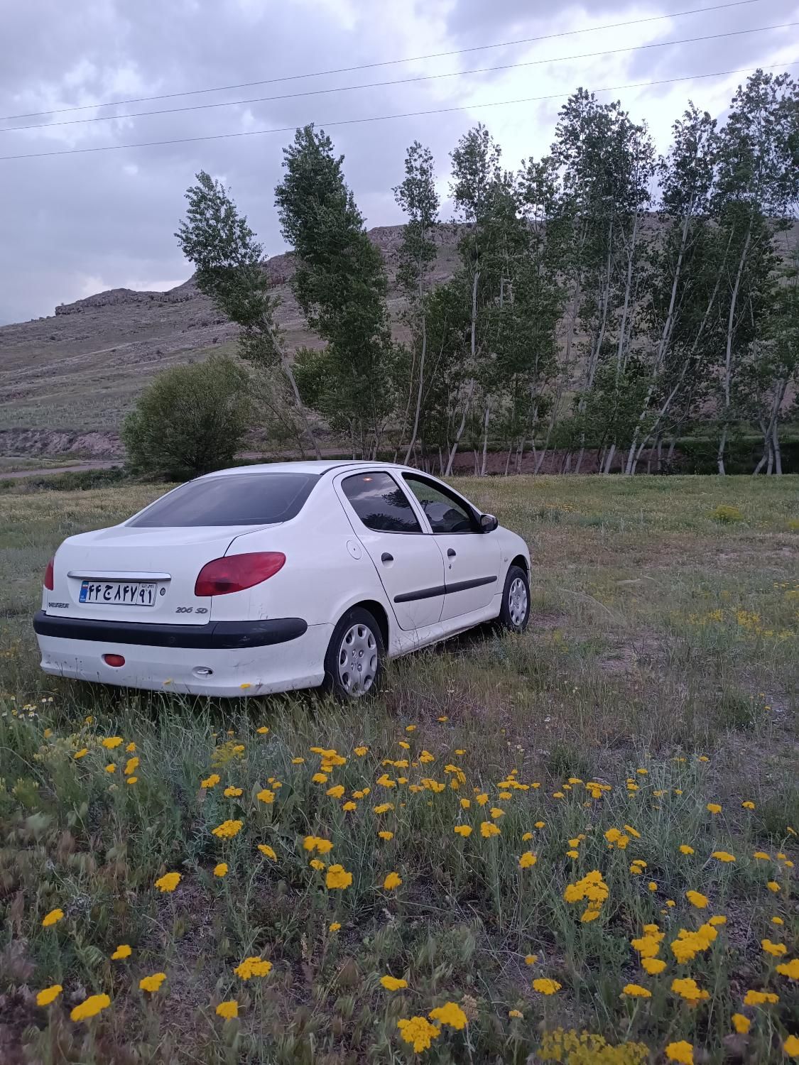 پژو ۲۰۶ صندوق دار v8 - 1393