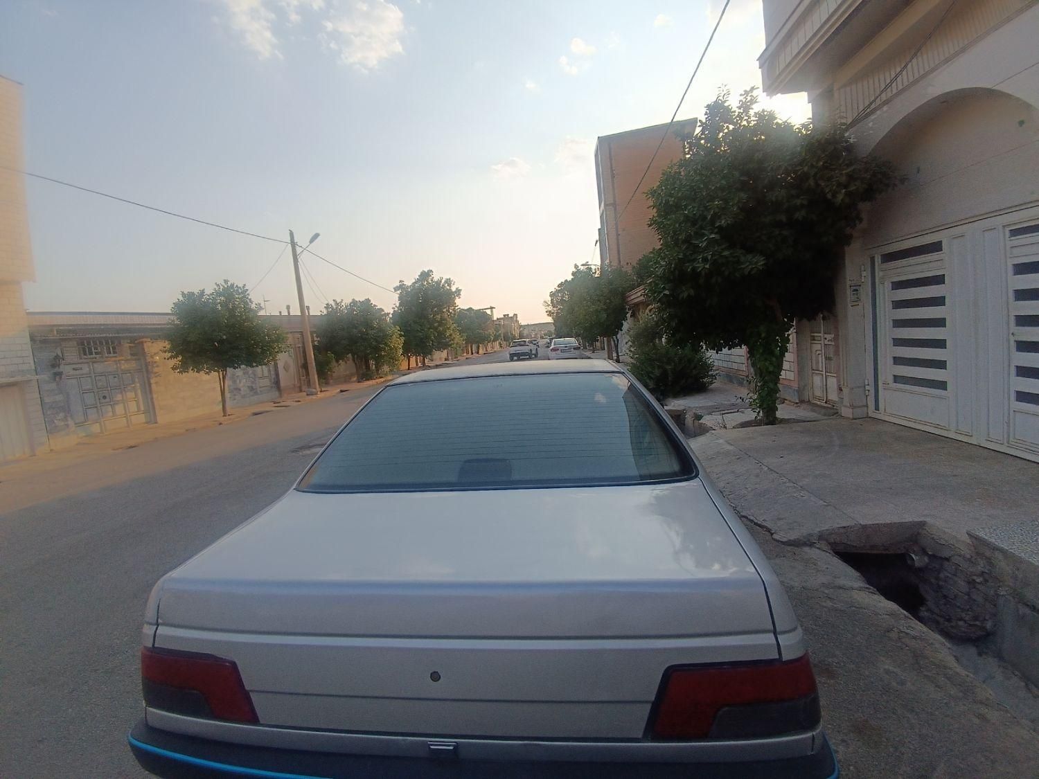پژو 405 GLX - دوگانه سوز - 1389