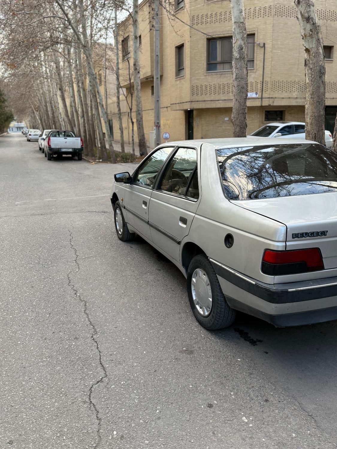 پژو 405 GLX - دوگانه سوز - 1393