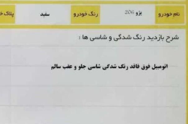 پژو 206 تیپ 2 - 1391