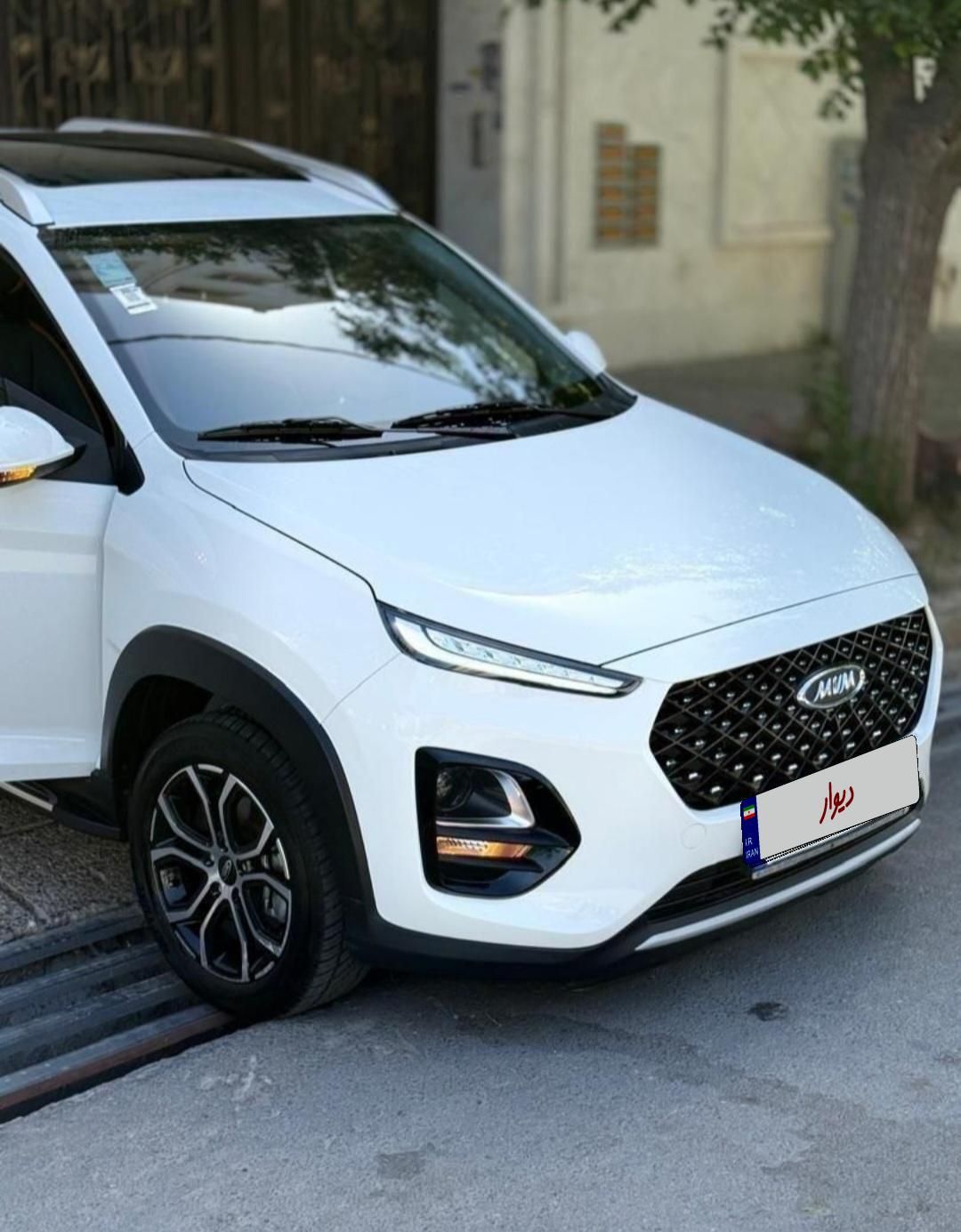 ام وی ام X22 پرو اتوماتیک IE - 2023