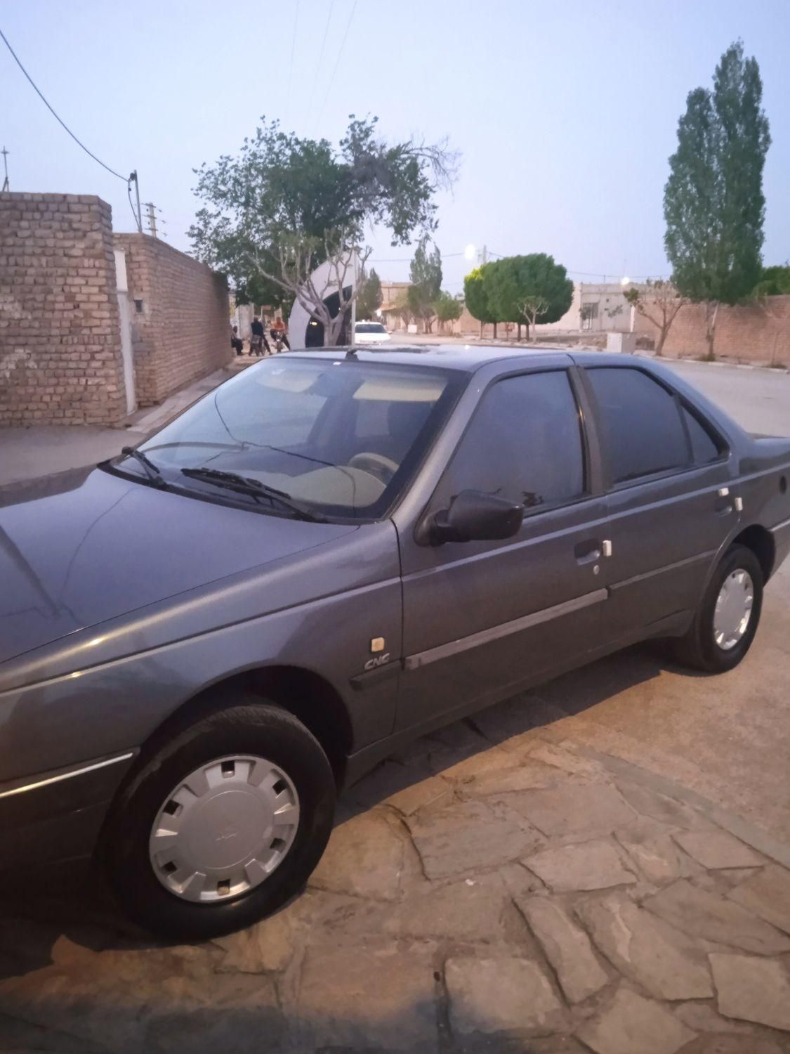پژو 405 GLX - دوگانه سوز - 1396