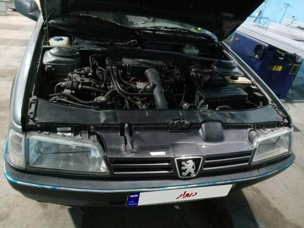 پژو 405 GLX - دوگانه سوز - 1389