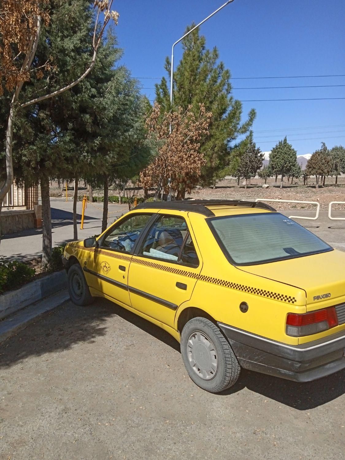 پژو آردی دوگانه سوز CNG - 1382