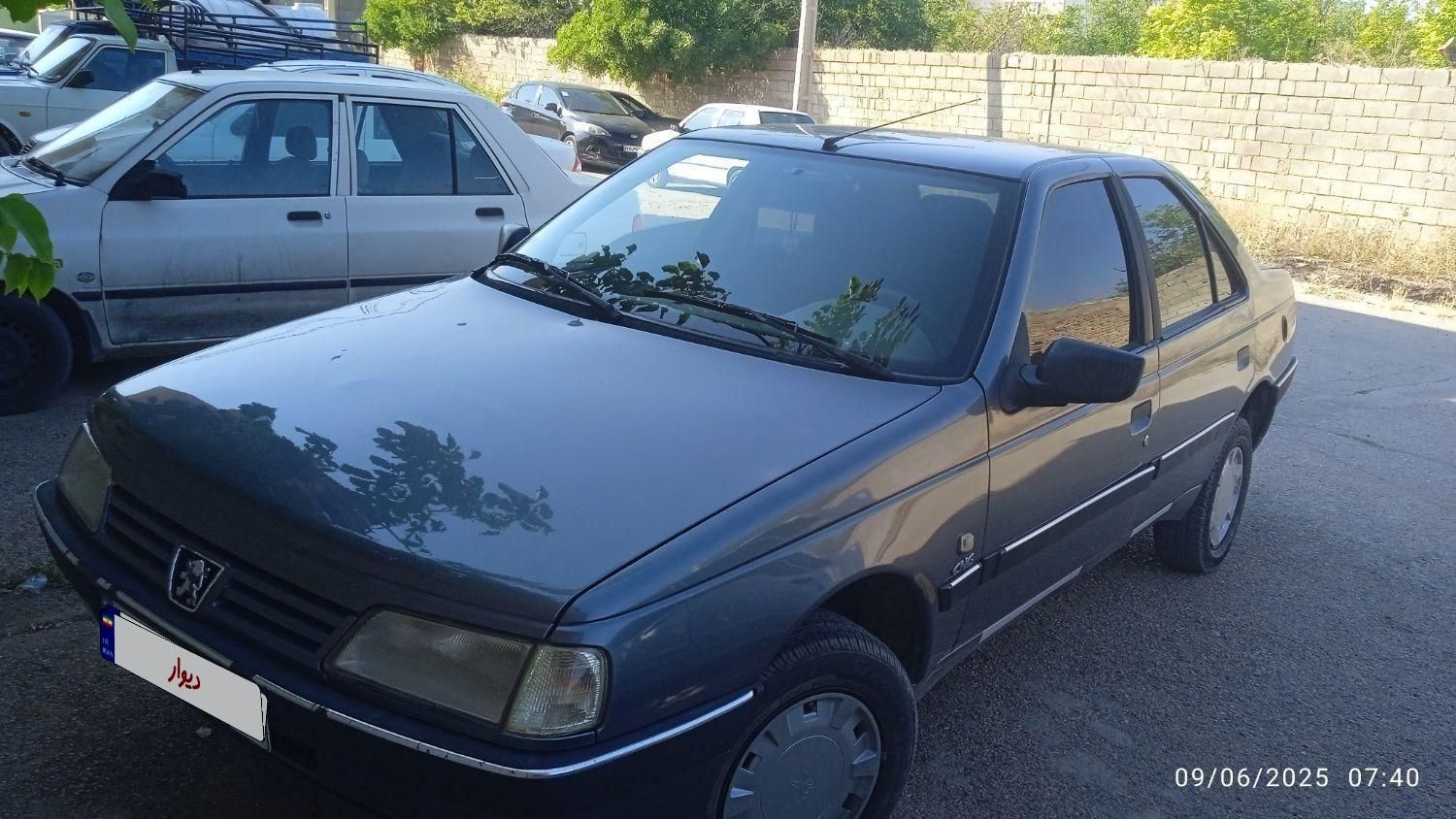 پژو 405 GLX - دوگانه سوز - 1394