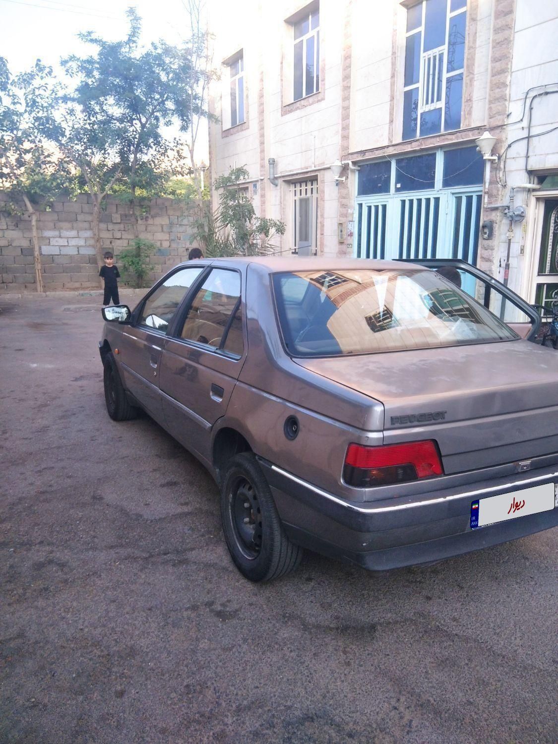 پژو 405 GLX - دوگانه سوز - 1392