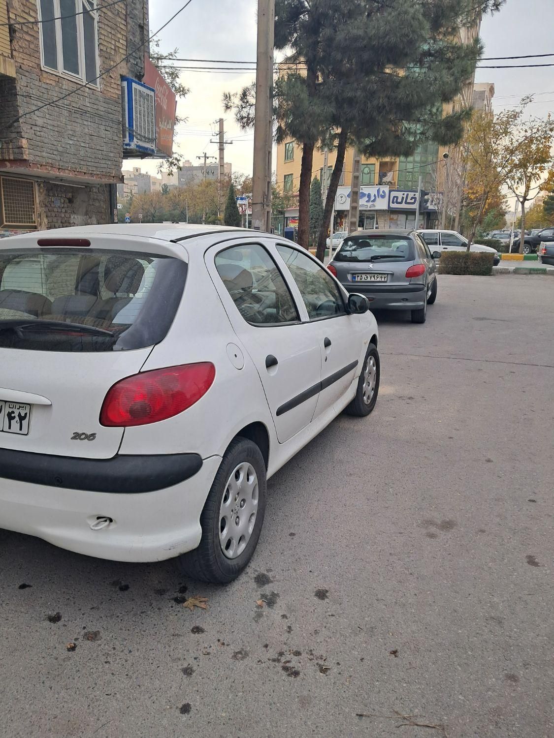 پژو 206 تیپ 2 - 1394