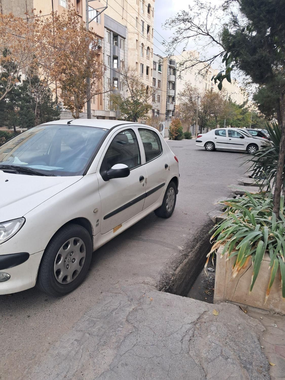 پژو 206 تیپ 2 - 1394