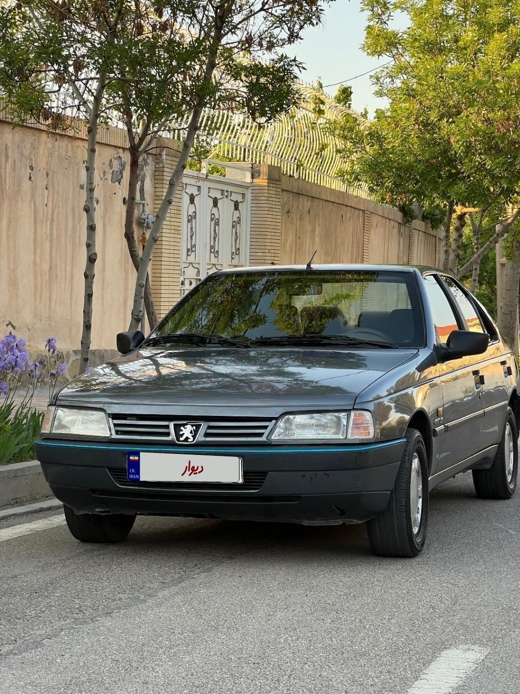 پژو 405 GLX - دوگانه سوز - 1395