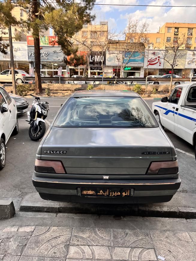 پژو 405 GLX - دوگانه سوز - 1391