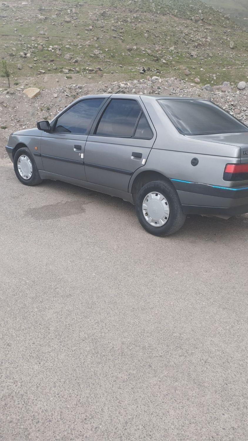 پژو 405 GLX - دوگانه سوز - 1389