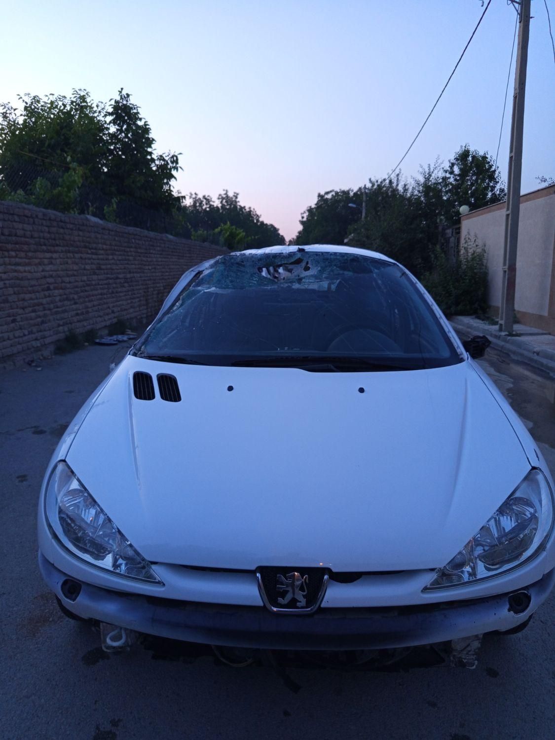 پژو ۲۰۶ صندوق دار v8 - 1394