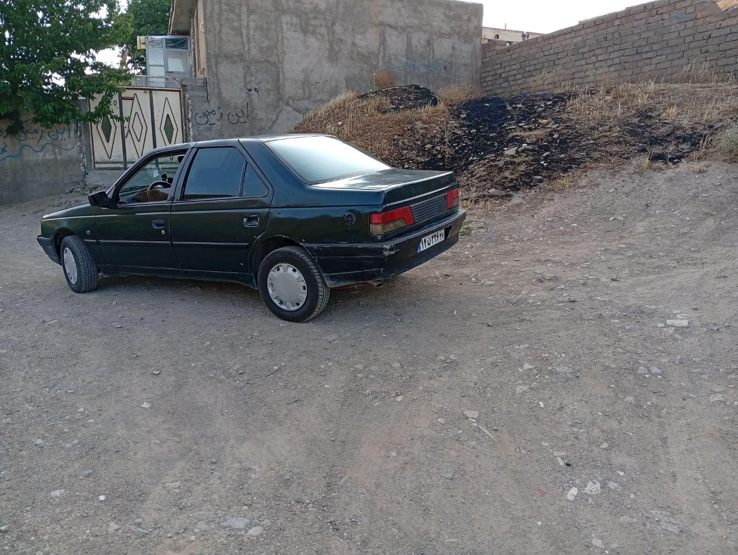 پژو آردی دوگانه سوز CNG - 1382