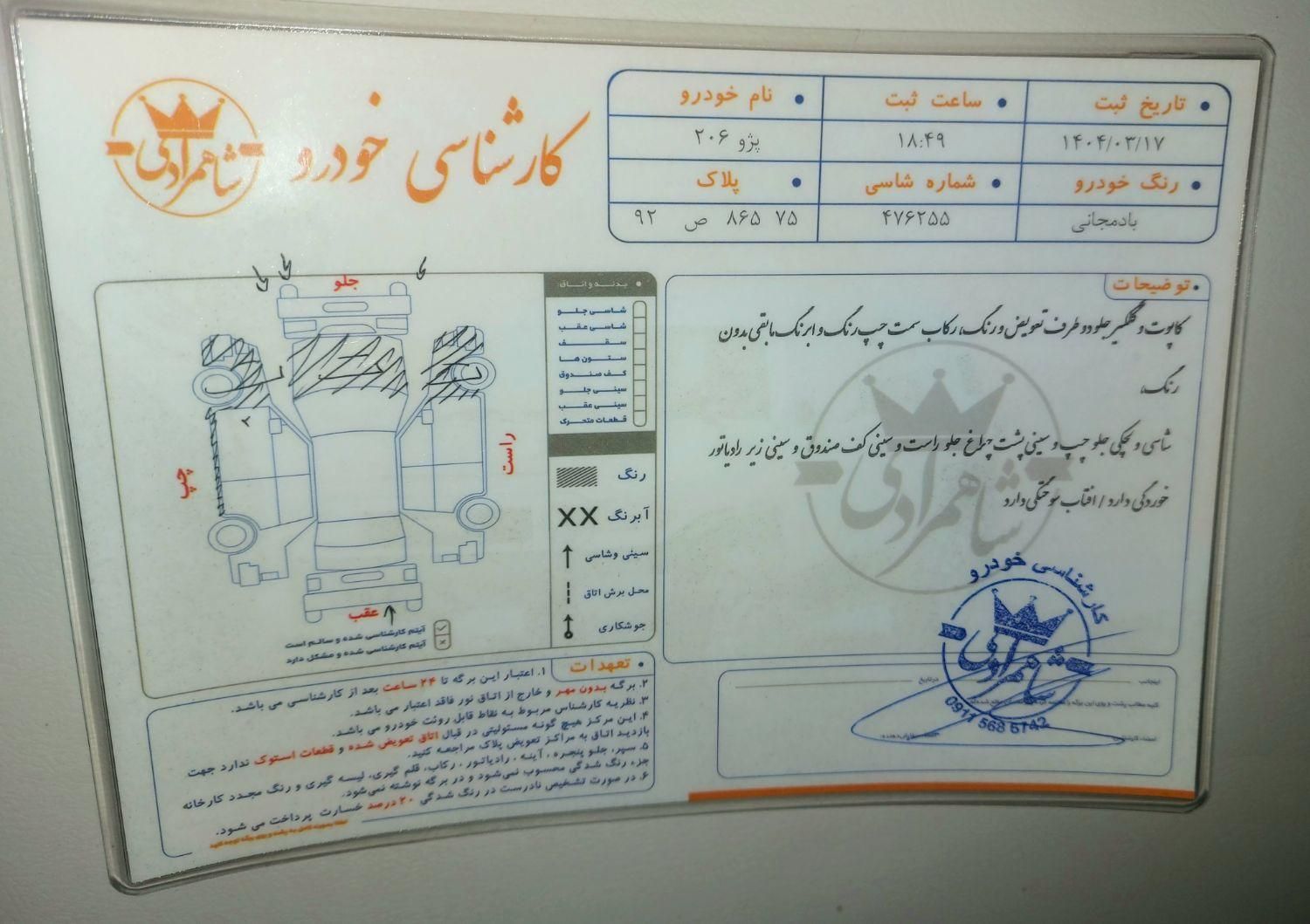 پژو 206 تیپ 2 - 1389