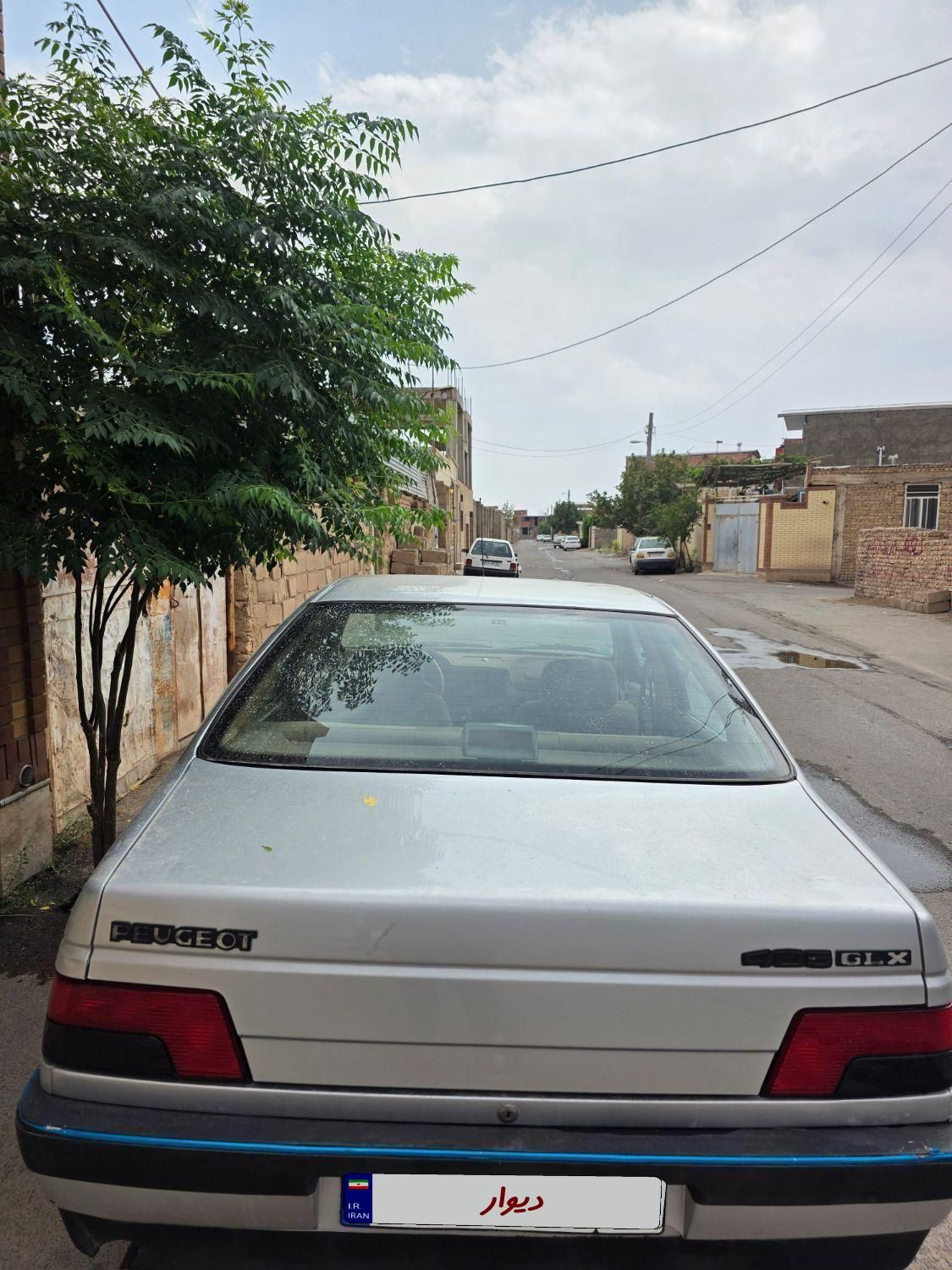 پژو 405 GLX - دوگانه سوز - 1393