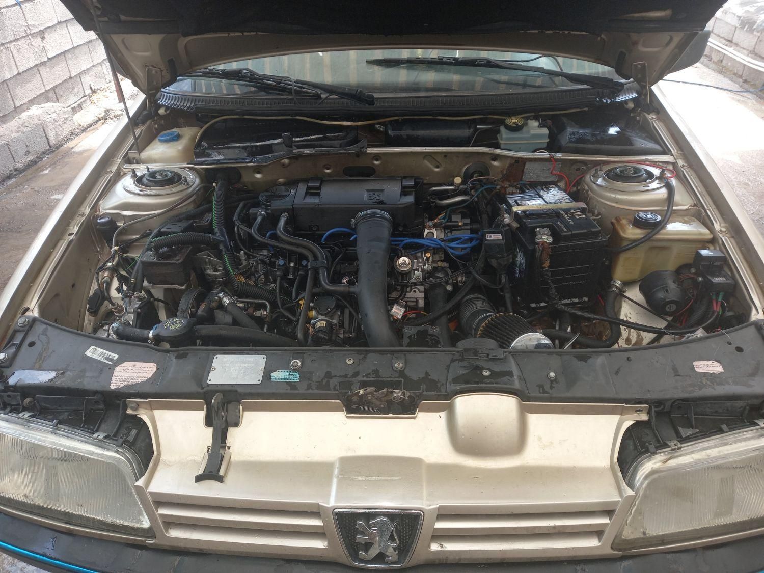 پژو 405 GL - دوگانه سوز CNG - 1371