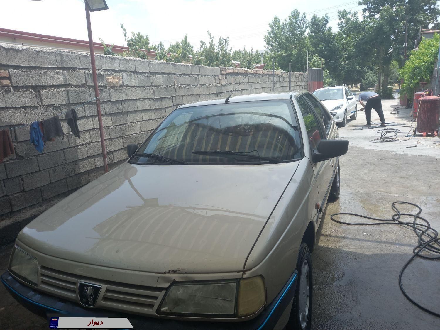 پژو 405 GL - دوگانه سوز CNG - 1371