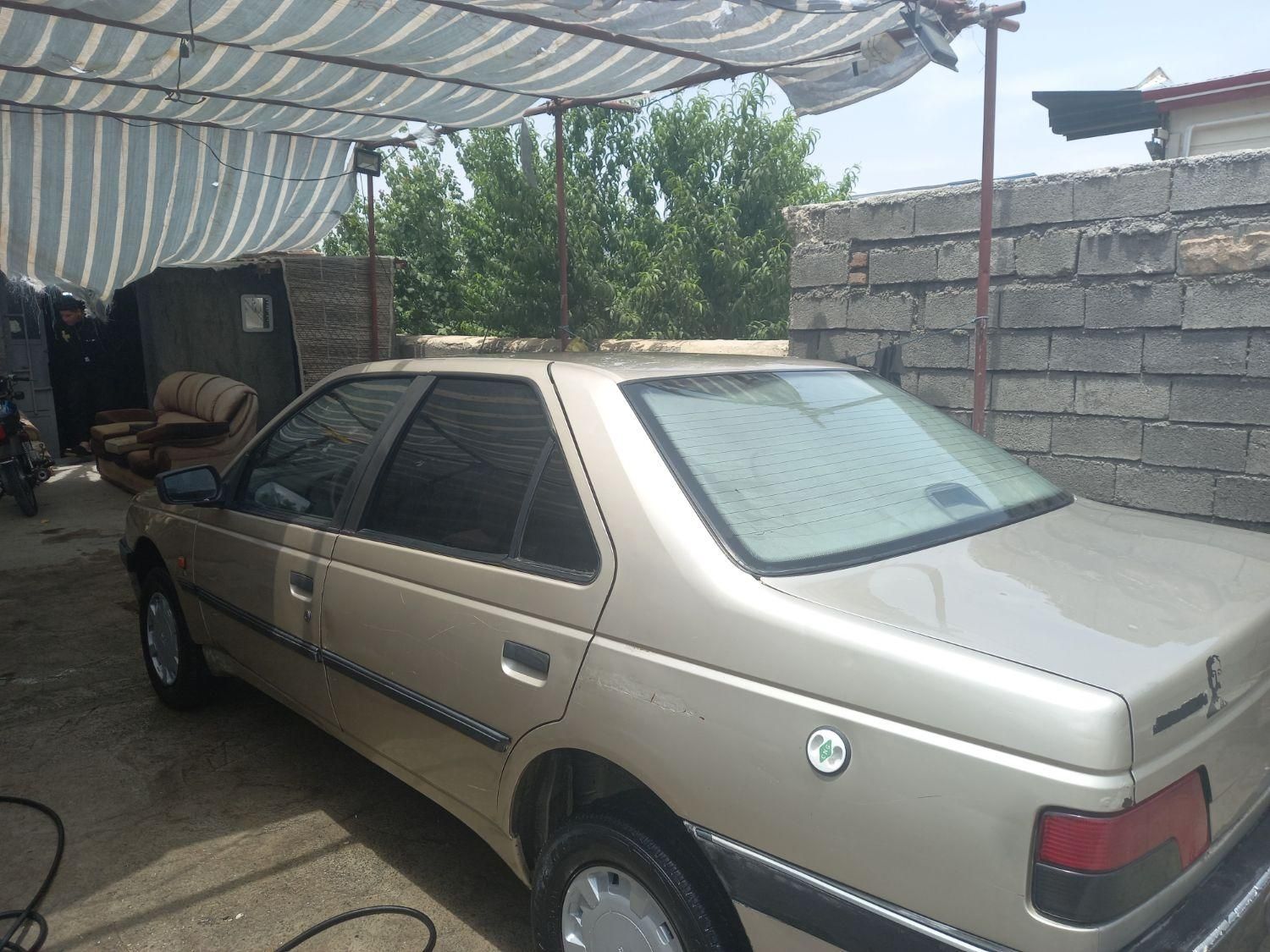 پژو 405 GL - دوگانه سوز CNG - 1371