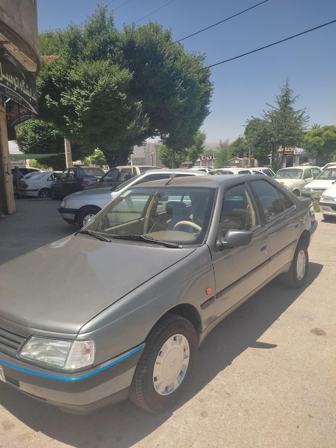 پژو 405 GLX - دوگانه سوز - 1391