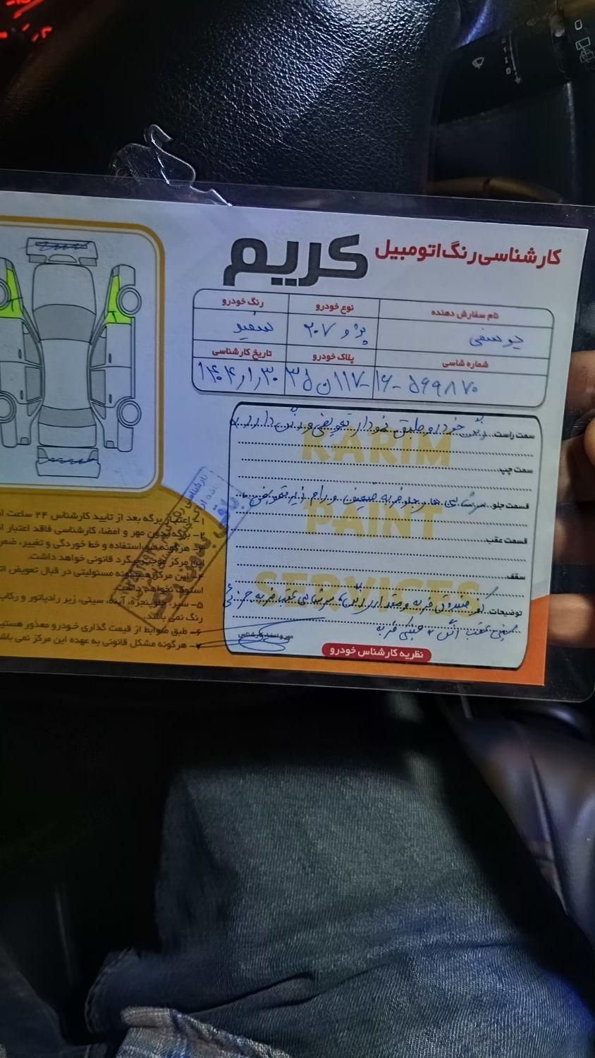 پژو 206 تیپ 2 - 1391