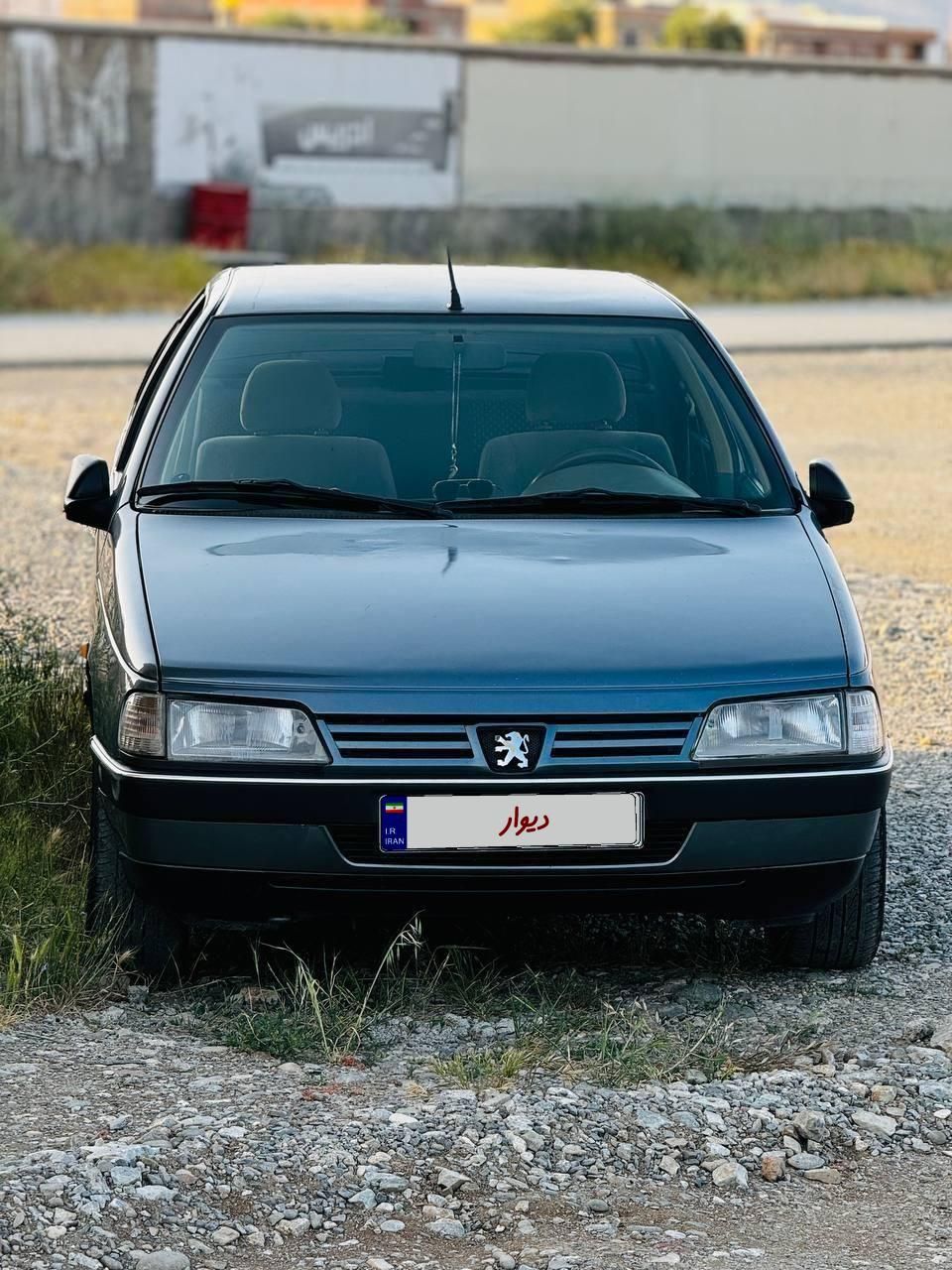 پژو 405 GL - دوگانه سوز CNG - 1369