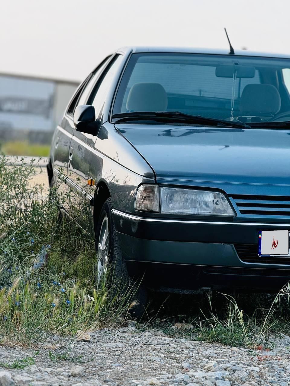 پژو 405 GL - دوگانه سوز CNG - 1369