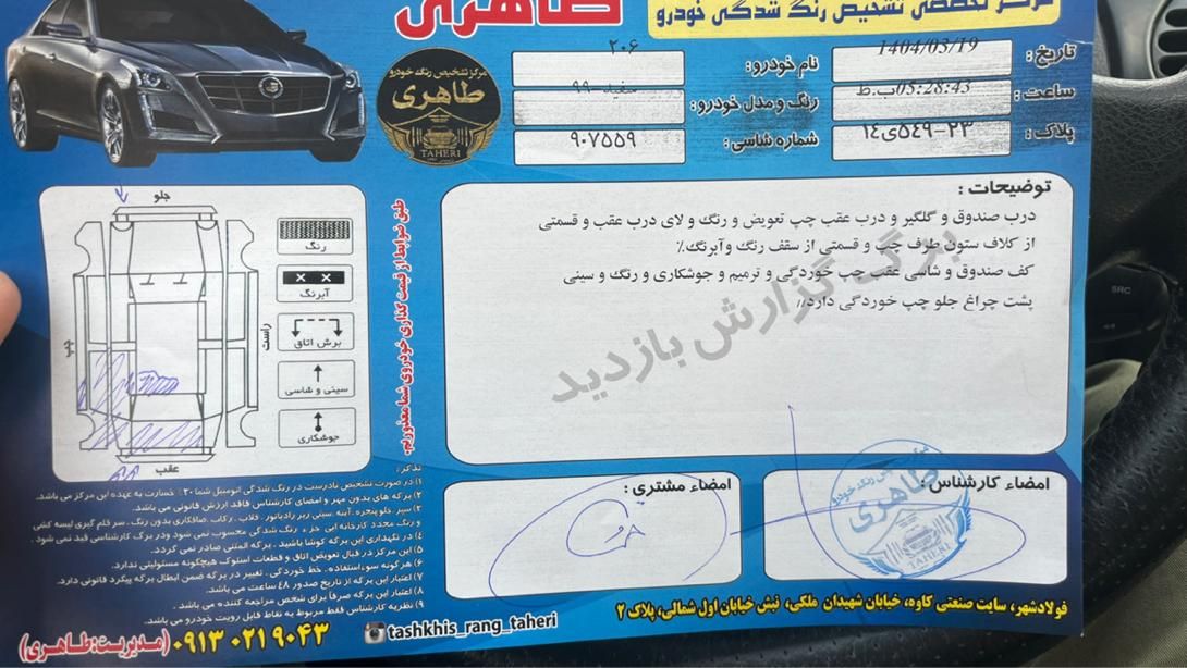پژو 206 تیپ 2 - 1399