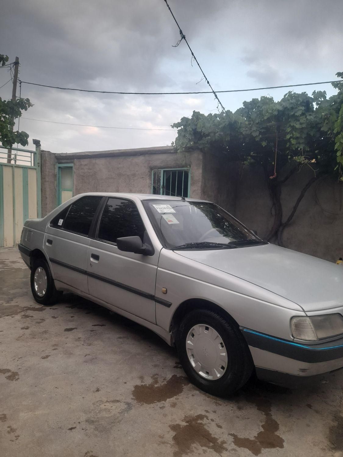 پژو 405 GLX - دوگانه سوز - 1389