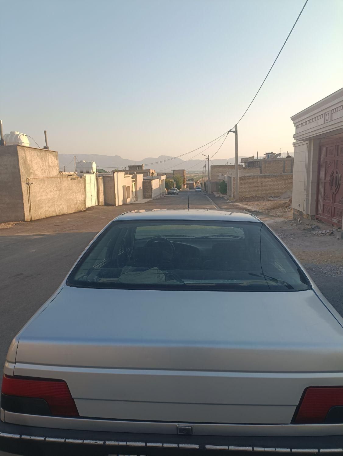 پژو 405 GLX - دوگانه سوز - 1388