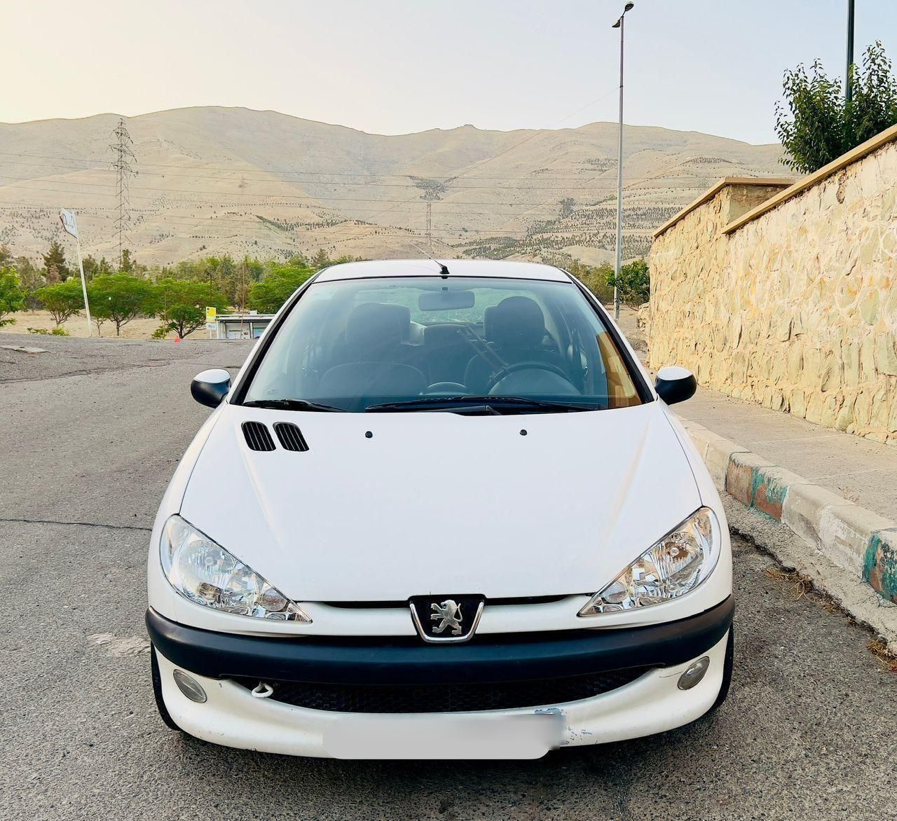 پژو ۲۰۶ صندوق دار v8 - 1393