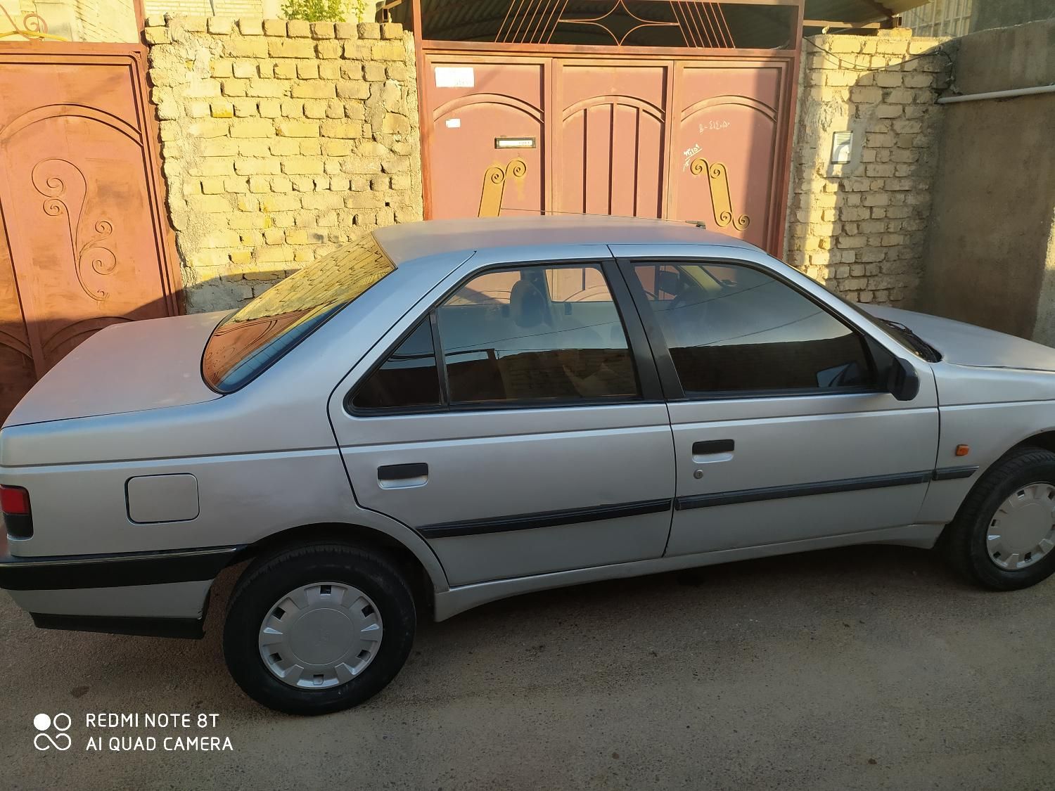 پژو 405 GL - دوگانه سوز CNG - 1369