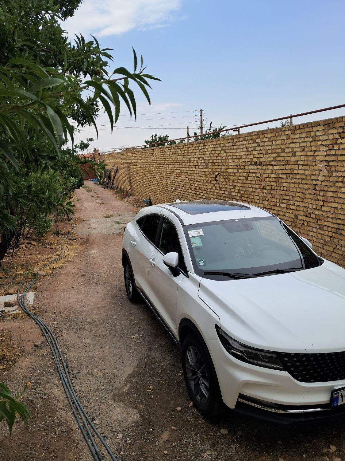 خودرو دیگنیتی، پرایم آگهی ann_18649483