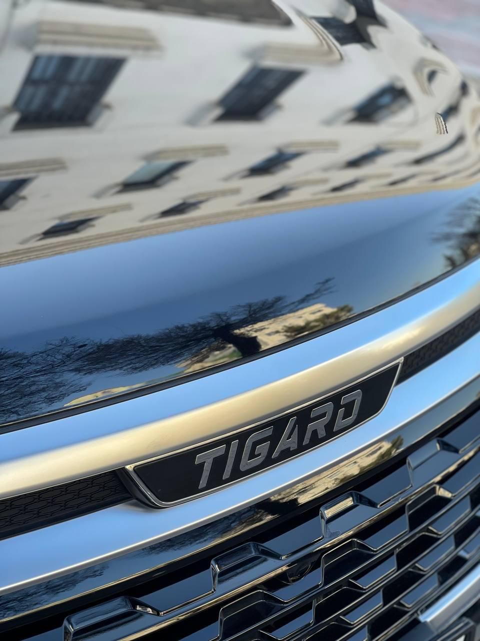 تیگارد X35 ساده - 1403