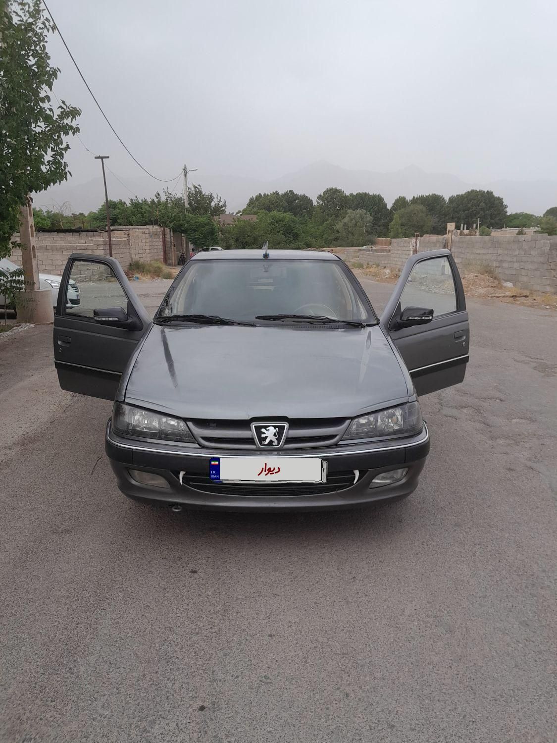 پژو پارس ELX-XU7P سفارشی - 1393
