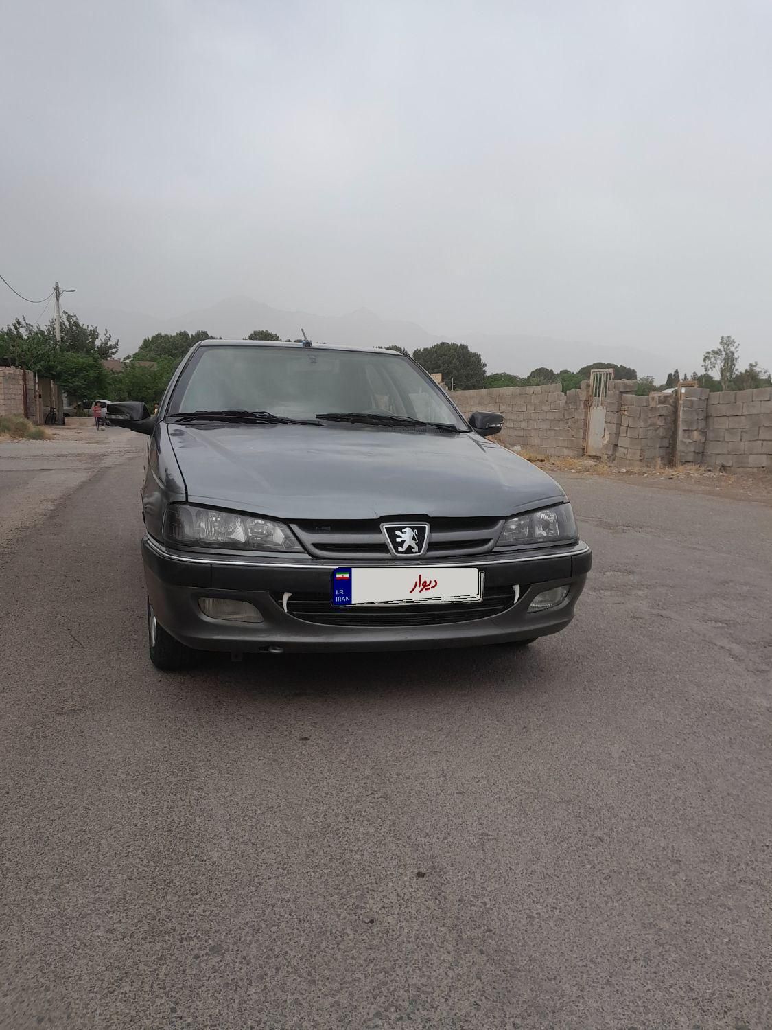 پژو پارس ELX-XU7P سفارشی - 1393