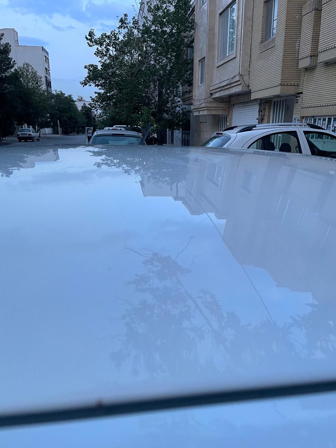 پژو 206 تیپ 5 - 1393