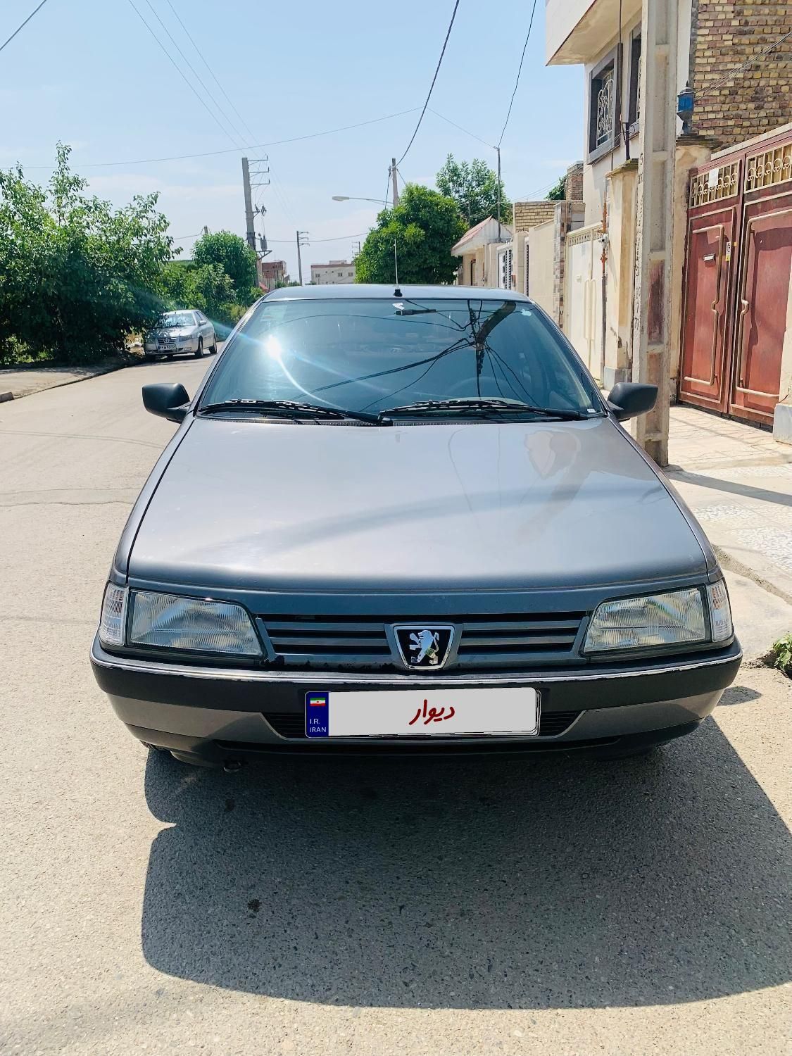پژو 405 GLX - دوگانه سوز - 1389