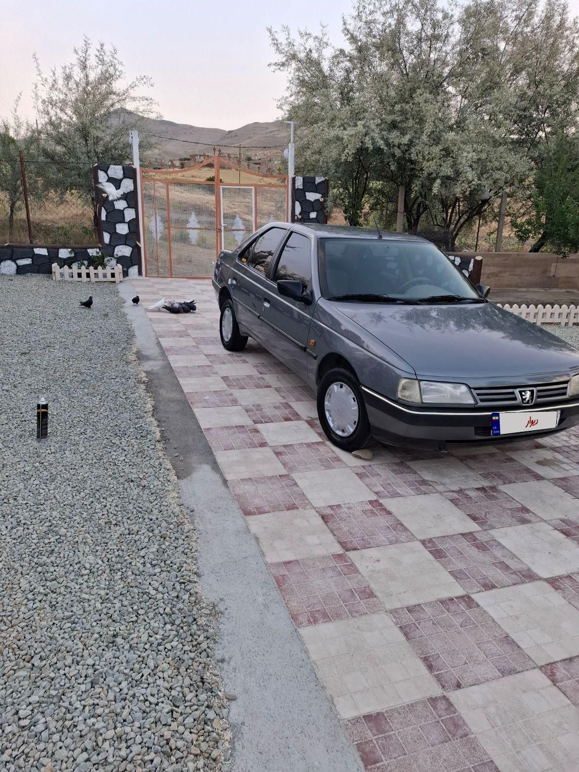 پژو 405 GLX - دوگانه سوز - 1393