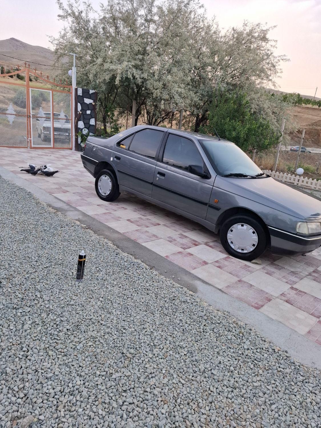 پژو 405 GLX - دوگانه سوز - 1393