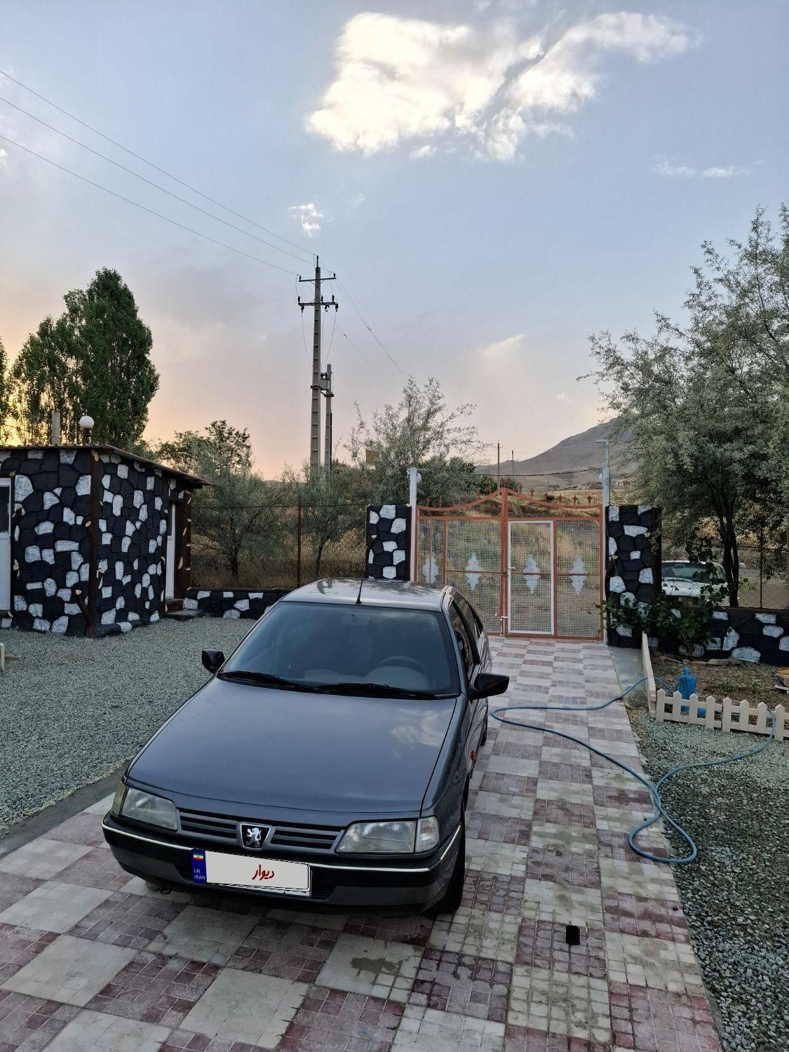 پژو 405 GLX - دوگانه سوز - 1393