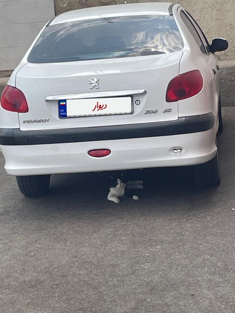 پژو ۲۰۶ صندوق دار v8 - 1399